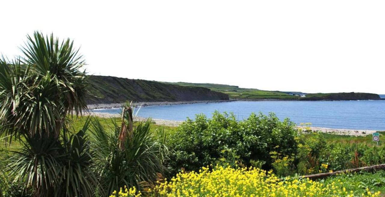 Wild Atlantic Lodge Bed & Breakfast ラヒンチ エクステリア 写真