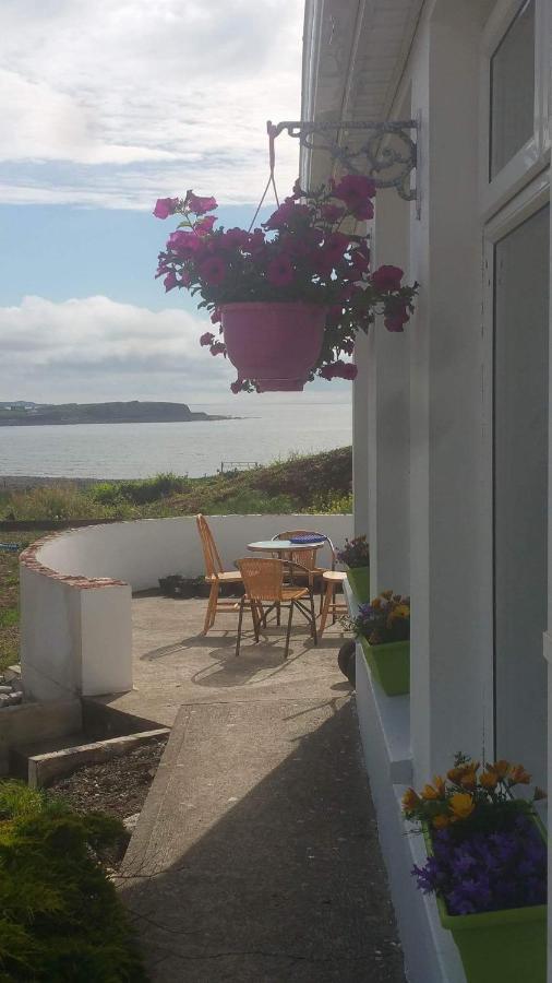 Wild Atlantic Lodge Bed & Breakfast ラヒンチ エクステリア 写真